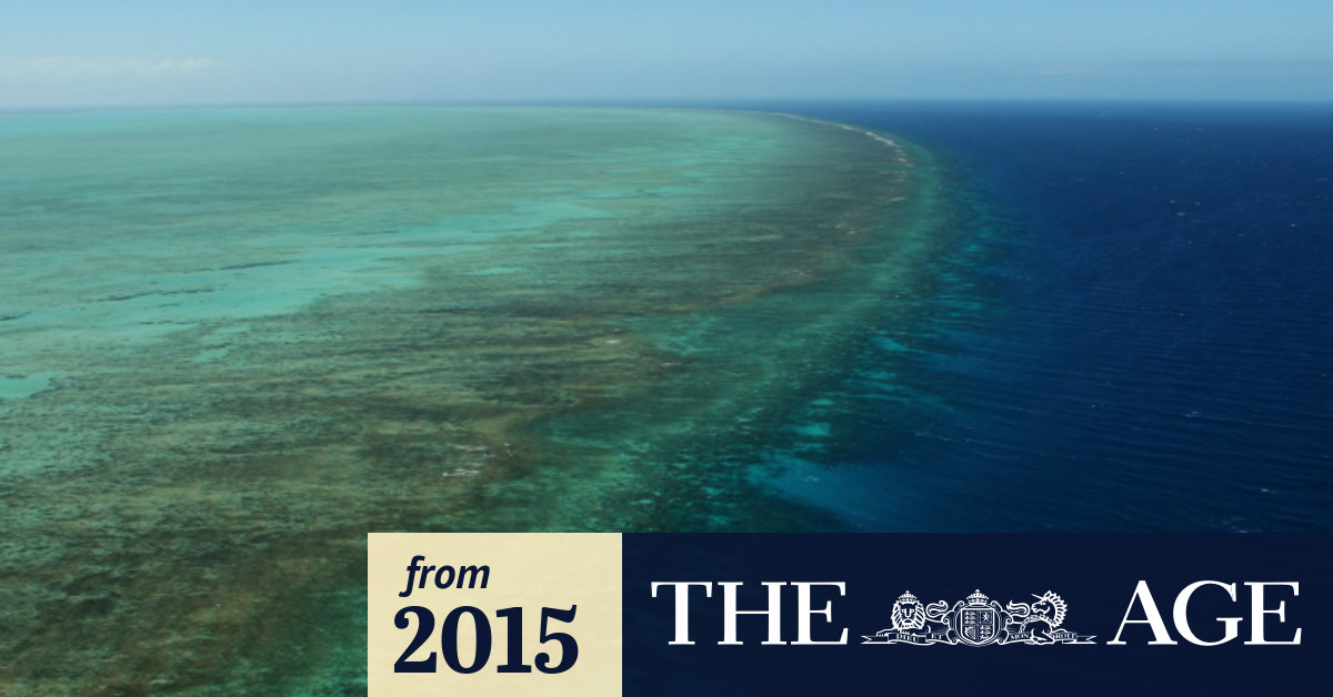 Fears of Great Barrier Reef oil spill allayed